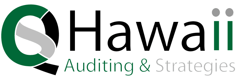 Small Business Consultant and Online Audit